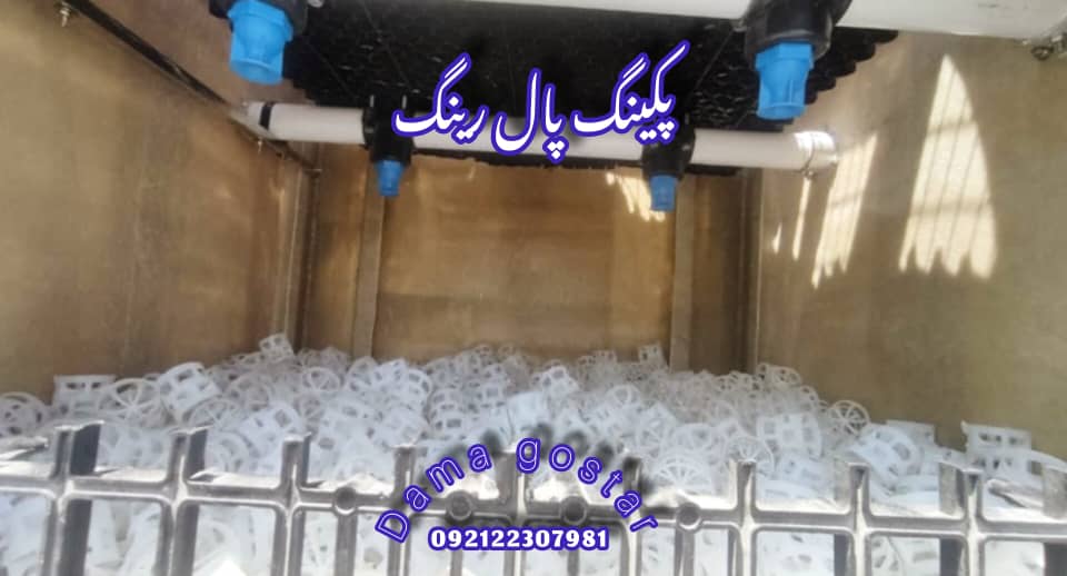 پکینگ پال رینگ 