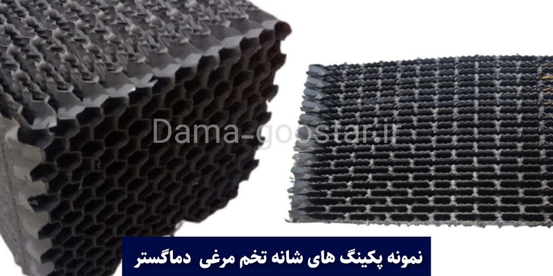 پکینگ شونه تخم مرغی 