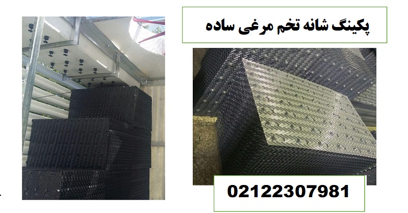 چیدمان پکینگ شانه تخم مرغی ابارا