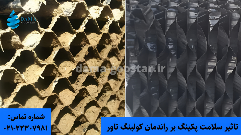 رسوب گرفتگی پکینگ